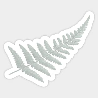 Silver Fern Sticker